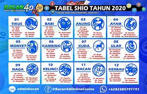 Shio Anjing Togel Tahun 2024